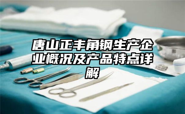 唐山正丰角钢生产企业概况及产品特点详解