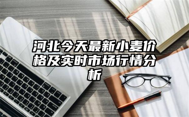 河北今天最新小麦价格及实时市场行情分析