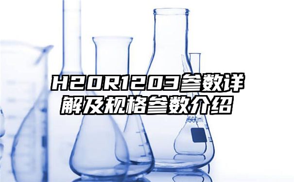 H20R1203参数详解及规格参数介绍