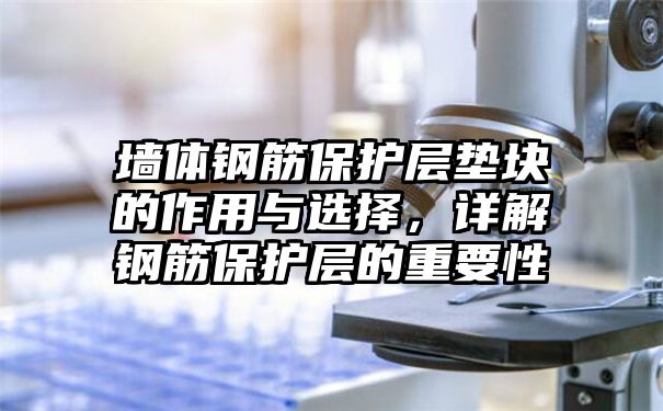 墙体钢筋保护层垫块的作用与选择，详解钢筋保护层的重要性