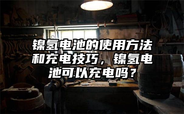 镍氢电池的使用方法和充电技巧，镍氢电池可以充电吗？