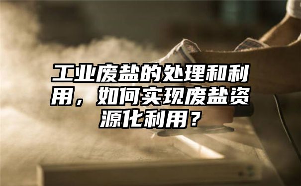 工业废盐的处理和利用，如何实现废盐资源化利用？