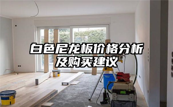 白色尼龙板价格分析及购买建议