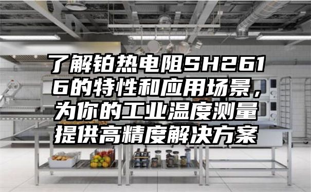 了解铂热电阻SH2616的特性和应用场景，为你的工业温度测量提供高精度解决方案