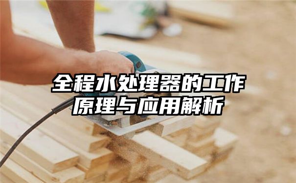 全程水处理器的工作原理与应用解析