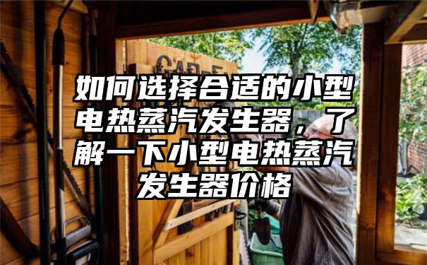 如何选择合适的小型电热蒸汽发生器，了解一下小型电热蒸汽发生器价格