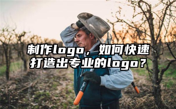 制作logo，如何快速打造出专业的logo？