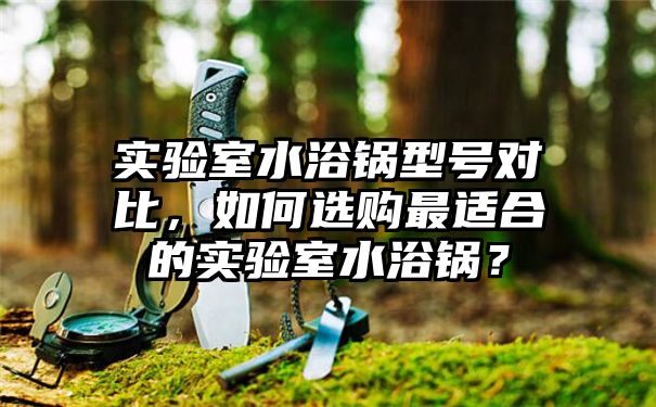 实验室水浴锅型号对比，如何选购最适合的实验室水浴锅？