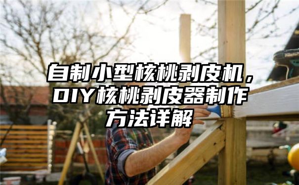 自制小型核桃剥皮机，DIY核桃剥皮器制作方法详解