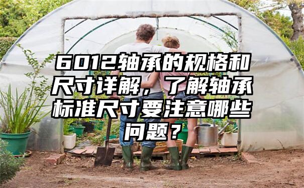 6012轴承的规格和尺寸详解，了解轴承标准尺寸要注意哪些问题？